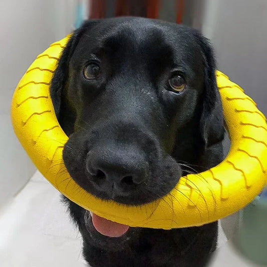 Black dog holding a yellow durable dog chewing ring in its mouth, showcasing its strength and dental benefits for active chewers.